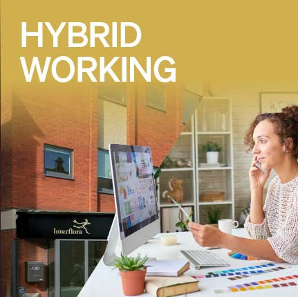 hybrid-working-sq.jpg
